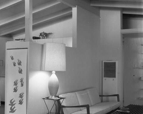 Mid century modern