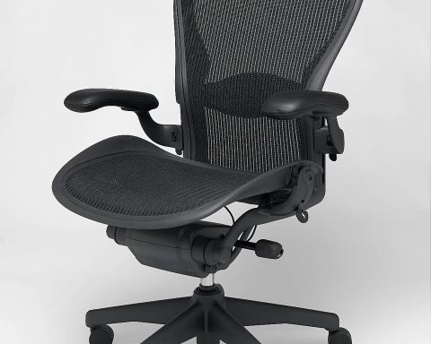 Aeron chair